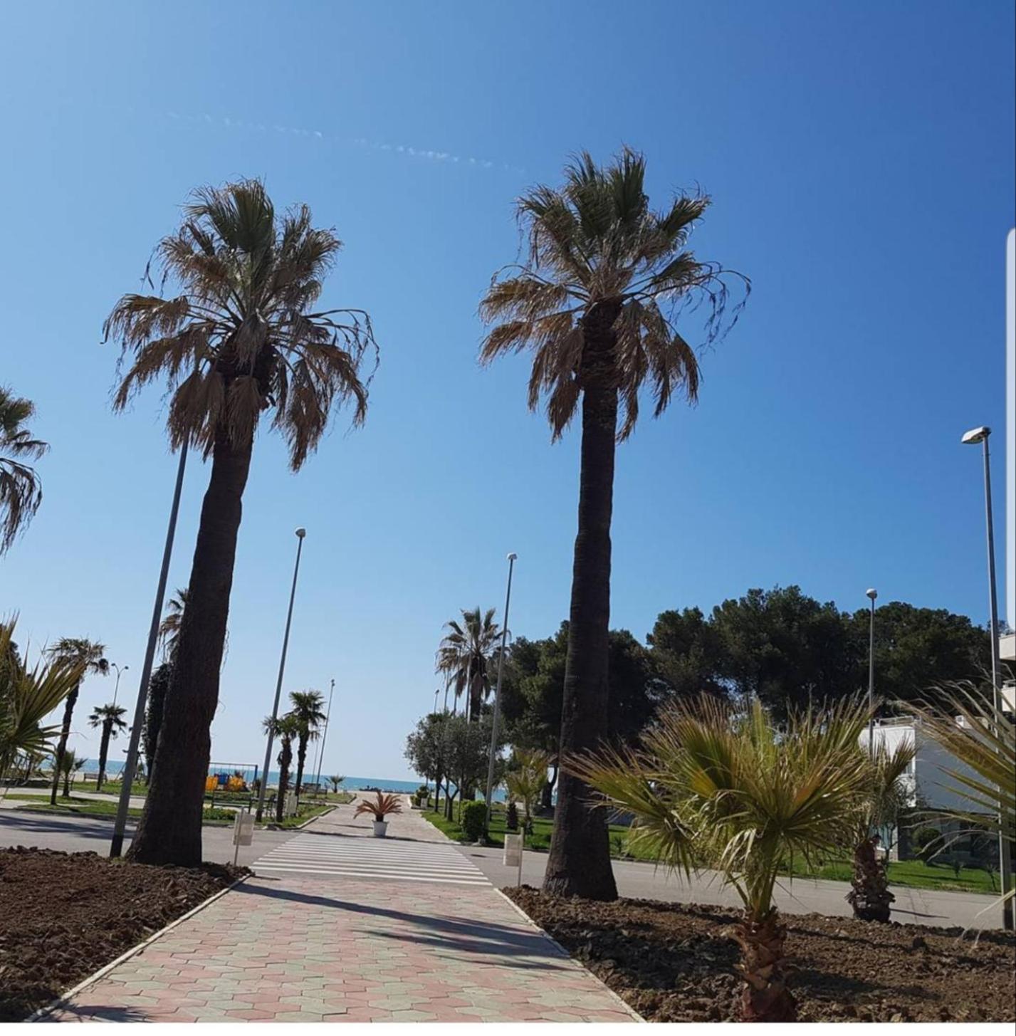 דורס Amaris Apartments חדר תמונה